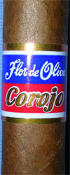 Flor de Oliva Corojo - 1